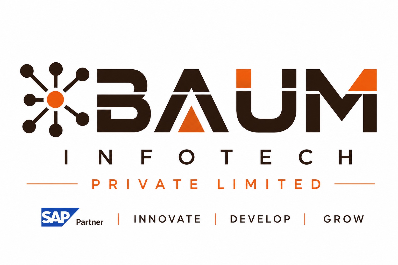 Baum Infotech logo